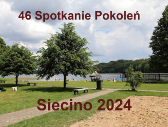 Siecino – 2024